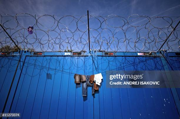 Clothes hang on the barbed wires at a makeshift refugee and migrants camp close the border between Serbia and Hungary, near the Serbian town of...