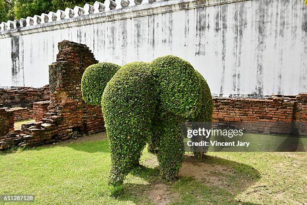 boxwood carved elephant lopburi thailand - buxus stockfoto's en -beelden
