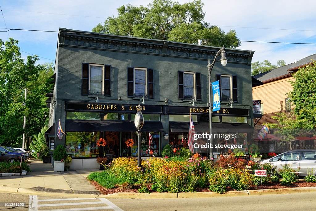 Shops in downtown Douglas, Michigan