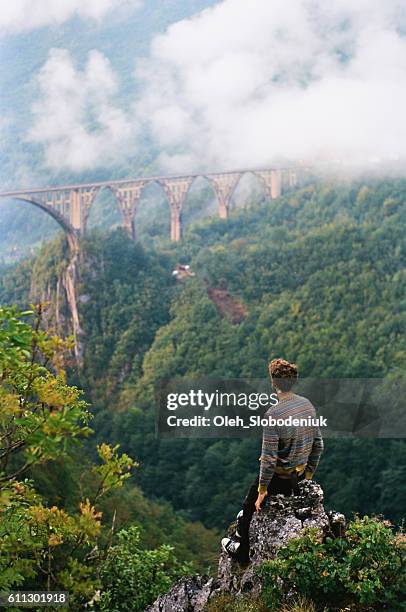 man looking at the bridge on tara river - montenegro stock pictures, royalty-free photos & images