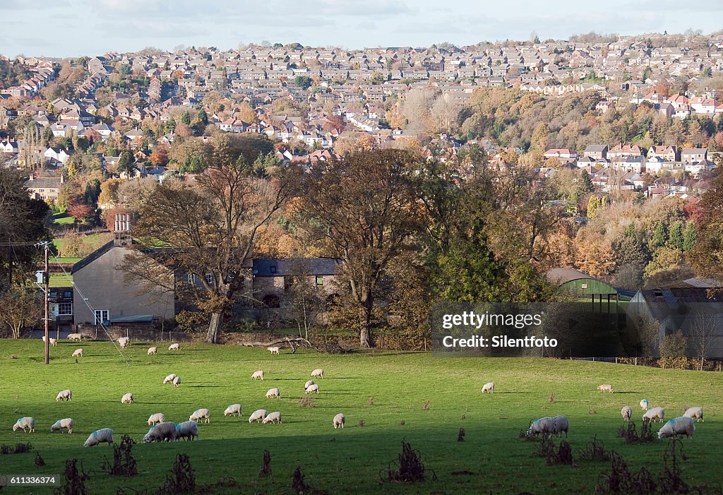 Looking Across Mayfield Valley to Hallam