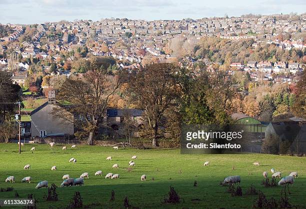 looking across mayfield valley to hallam - silentfoto sheffield stock pictures, royalty-free photos & images