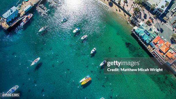 boaters enjoy a sunny afternoon in avalon harbor. - insel catalina island stock-fotos und bilder