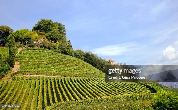 Puster 454 Puster Stock Photos, High-Res Pictures, and Images - Getty Images