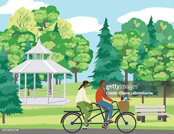 couple bicycling on a path in the park - gazebo stock illustrations