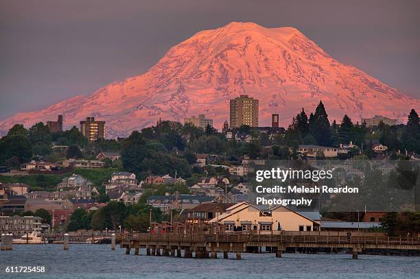 mount rainier - washington v washington state stock pictures, royalty-free photos & images