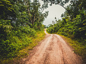 Road through the jungle. Liberia, West Africa