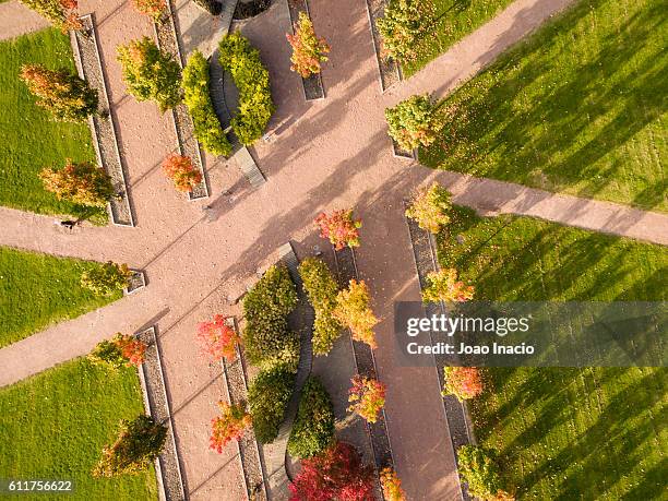 aerial view of a park in autumn, helsinki, finland - long shadow stock pictures, royalty-free photos & images