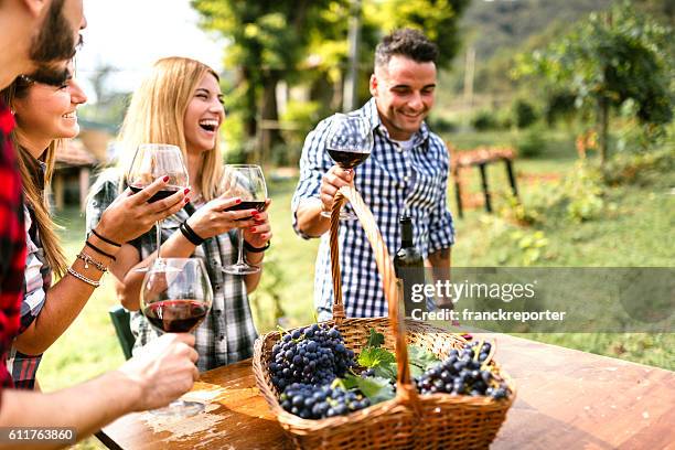 friends toasting with red wine after the harvesting - wine basket stock pictures, royalty-free photos & images