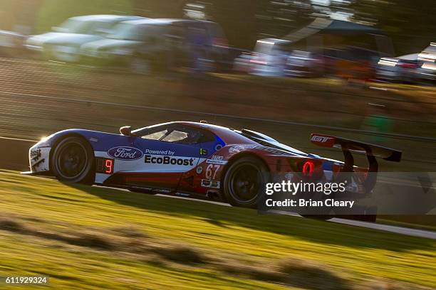 The Ford GT of Ryan Briscoe, of Australia, Richard Westbrook, of Great Britian, and Scott Dixon, of New Zealand drives on the track during the Petit...