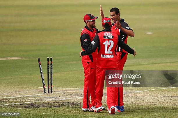 Wes Agar of the Redbacks celebrates with Alex Ross and Callum Ferguson after dismissing Cameron Bancroft of the Warriors during the Matador BBQs One...