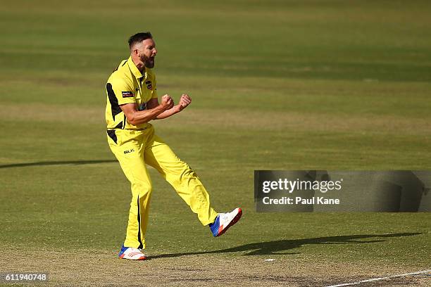 Andrew Tye of the Warriors celebrates the wicket of Jake Weatherald of the Redbacks during the Matador BBQs One Day Cup match between Western...