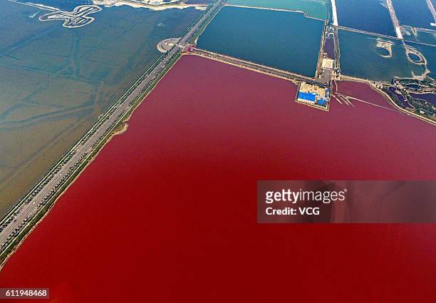 Aerial view of the colorful salt lake on October 2, 2016 in Yuncheng, Shanxi Province of China. The salt lake displaying red and green colors in...