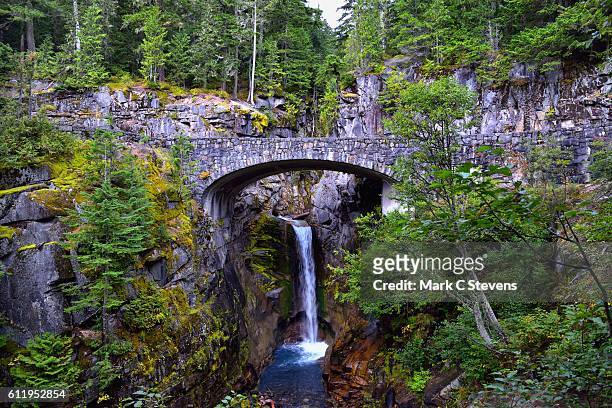 christine falls - mt rainier national park stock pictures, royalty-free photos & images
