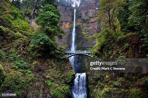 the wonderful beauty of multnomah falls - columbia gorge ストックフォトと画像
