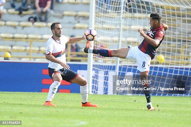 Saphir Taider of Bologna FC in action during the Serie A match between Bologna FC and Genoa CFC at Stadio Renato Dall'Ara on October 2, 2016 in...