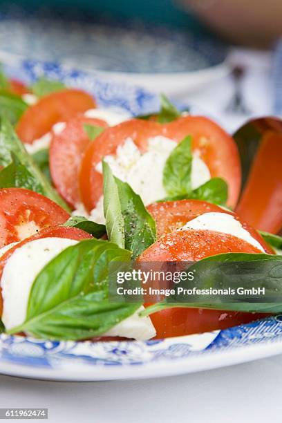 insalata caprese (tomatoes and mozzarella, italy) - insalata stock pictures, royalty-free photos & images