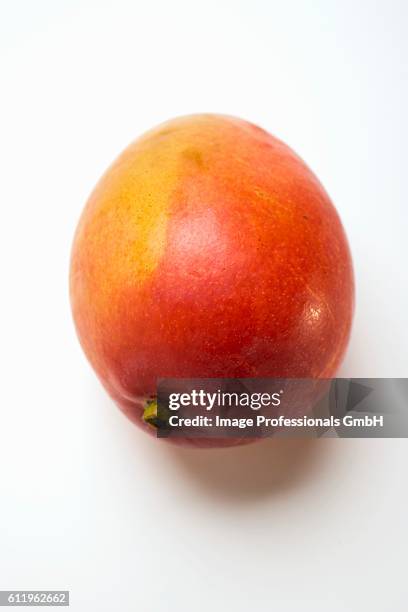 mango - mango stock pictures, royalty-free photos & images