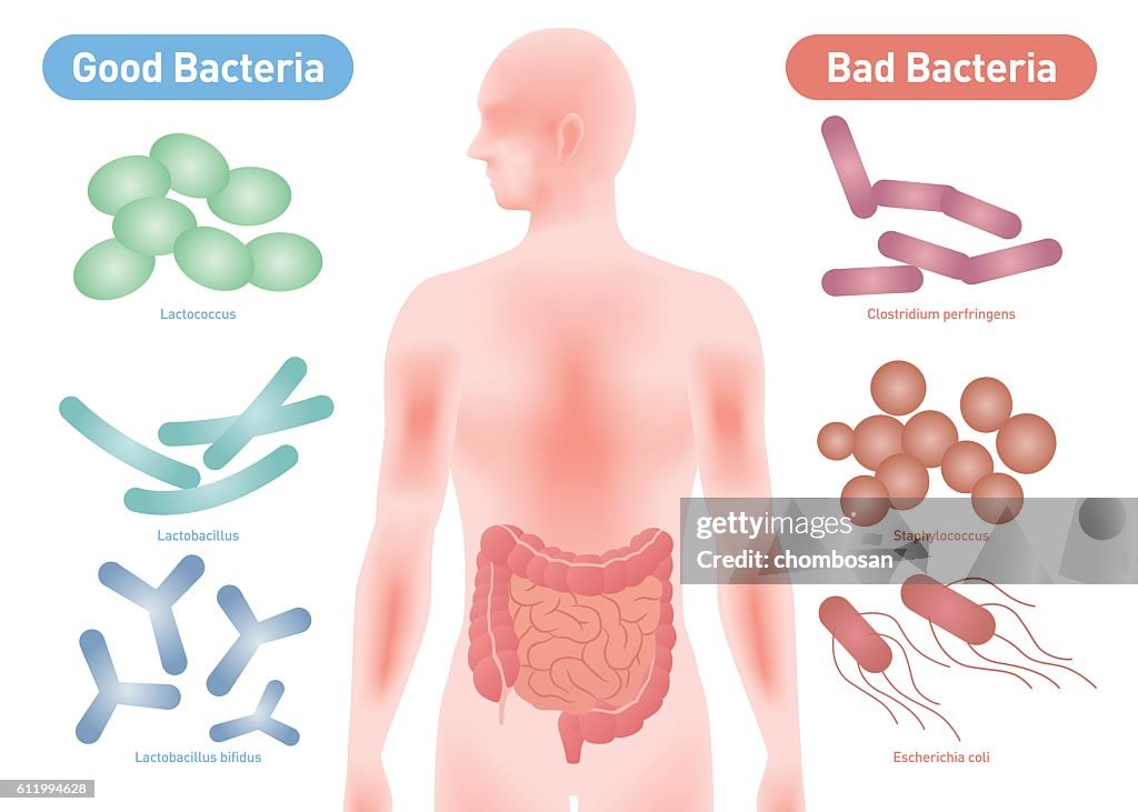 Good Bacteria and Bad Bacteria