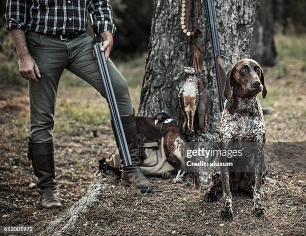 hunting - pheasant hunting stock pictures, royalty-free photos & images