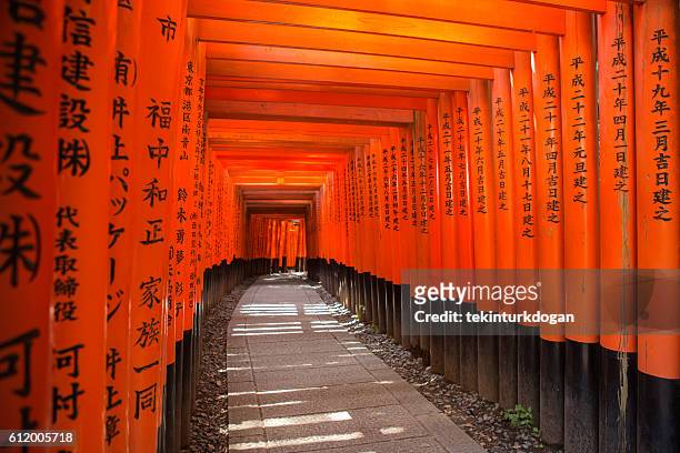 historische senbon-torii tore auf dem weg zum fushimi-inari tempel kyoto japan - fushimi inari schrein stock-fotos und bilder