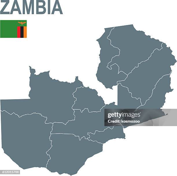 stockillustraties, clipart, cartoons en iconen met zambia - zambia