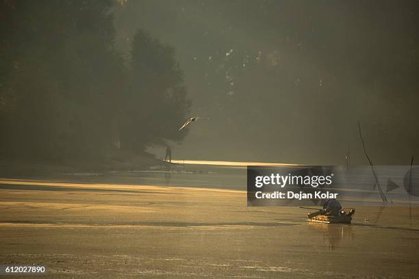 fisherman at danube river bayou near novi sad, serbia - novi sad stock pictures, royalty-free photos & images