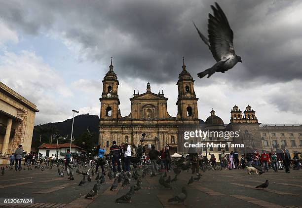 Pigeon flies in Bolivar Square after Colombia's President Juan Manuel Santos cast his ballot there in the referendum on a peace accord to end the...