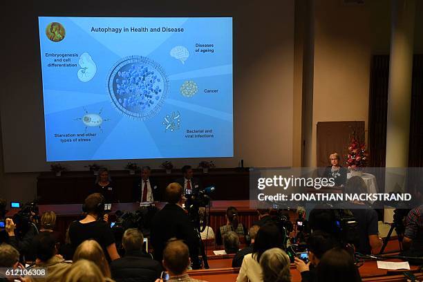 An image to illustrate the work of the 2016 Nobel Medicine Prize winner Yoshinori Ohsumi of Japan is displayed behind members of the Nobel Committtee...