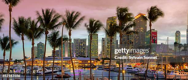 miami, bayside mall at sunset - miami skyline stock-fotos und bilder