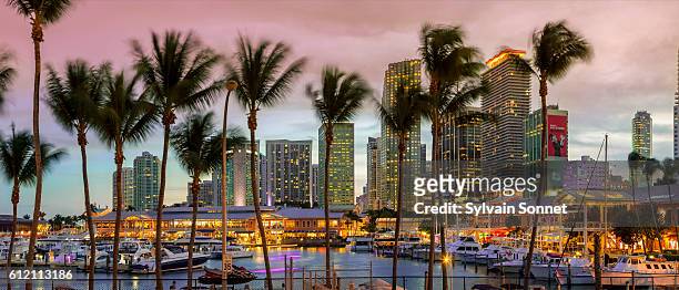 miami, bayside mall at sunset - miami stock pictures, royalty-free photos & images