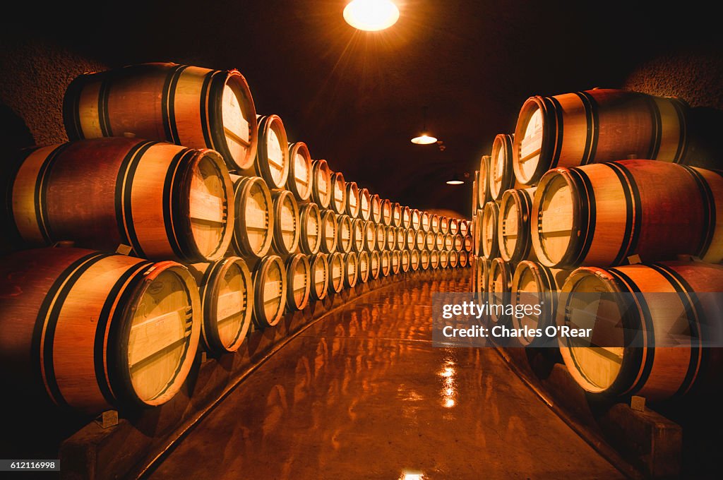 Napa Valley wine cellar