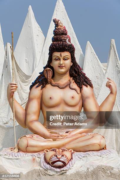 image of shiva - cobra stock pictures, royalty-free photos & images