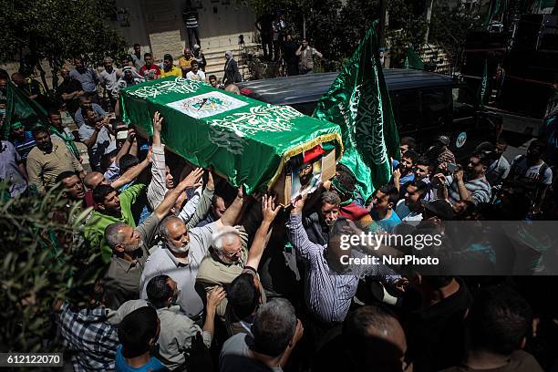 Awadallah 264 Awadallah Stock Photos, High-Res Pictures, and Images - Getty Images