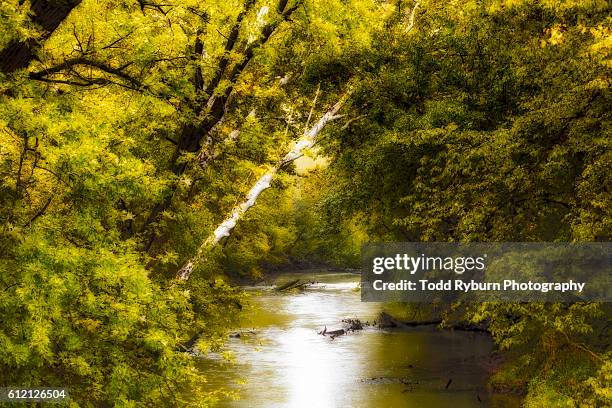 peaceful river - topeka stock pictures, royalty-free photos & images