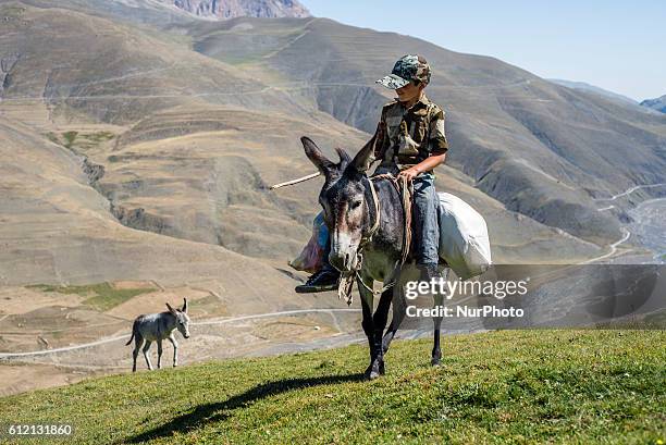 Boy is riding a donkey on the way to the camp of shepherds near Khinalig village, Quba region, Azerbaijan. He works as a shepherd with his father...