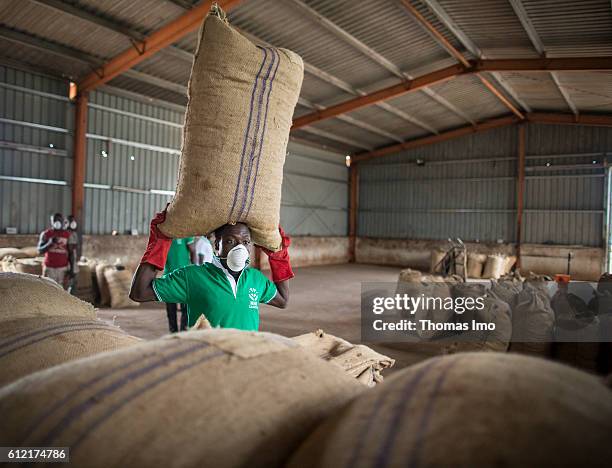 Mim, Ghana A warehouse worker of the MIM cashew processing company transports a bag of cashew nuts on his head on September 07, 2016 in Mim, Ghana.