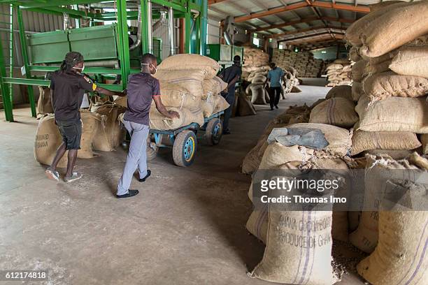Mim, Ghana African workers carry sacks with cashew nuts in a warehouse of the MIM cashew processing company on September 07, 2016 in Mim, Ghana.