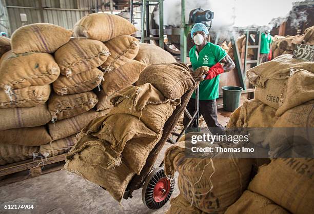 Mim, Ghana An African worker of the MIM cashew processing company is transporting sacks with cashew nuts on a sack barrow on September 07, 2016 in...