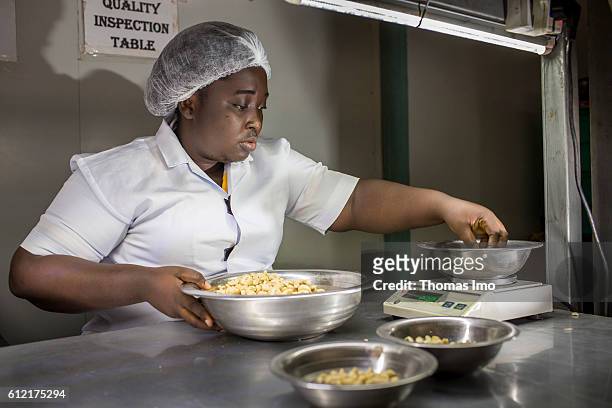 Mim, Ghana An African worker of the MIM cashew processing company weighs cashew nuts during a quality control on September 07, 2016 in Mim, Ghana.