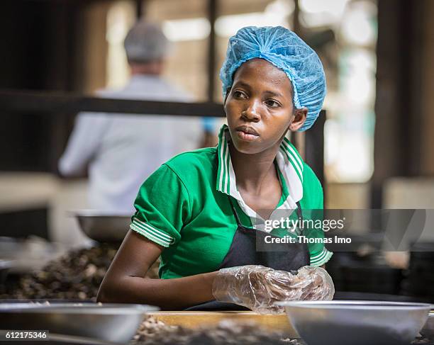 Mim, Ghana Portrait of an African employee of the MIM cashew processing company on September 07, 2016 in Mim, Ghana.