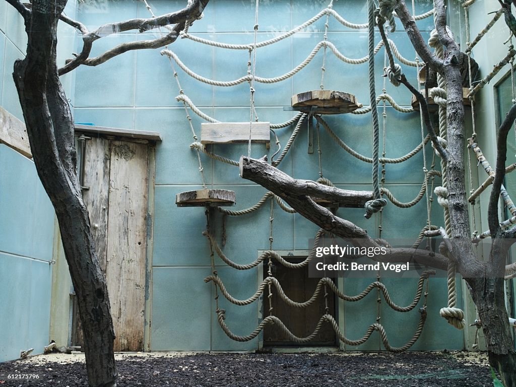 Empty zoo exhibit