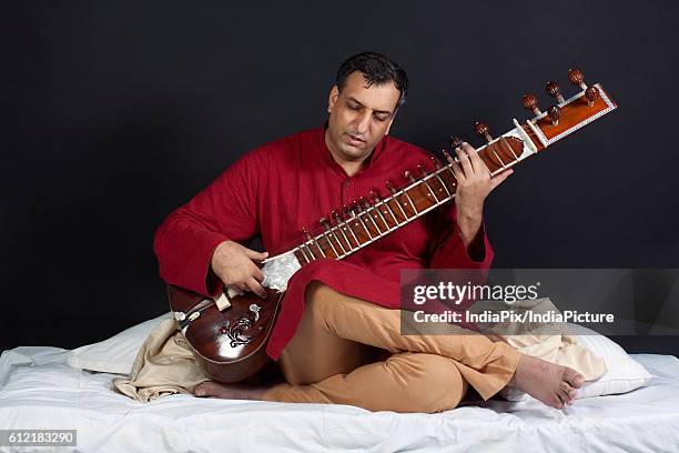 890 Sitar Of India Stock Photos, High-Res Pictures, and Images - Getty ...