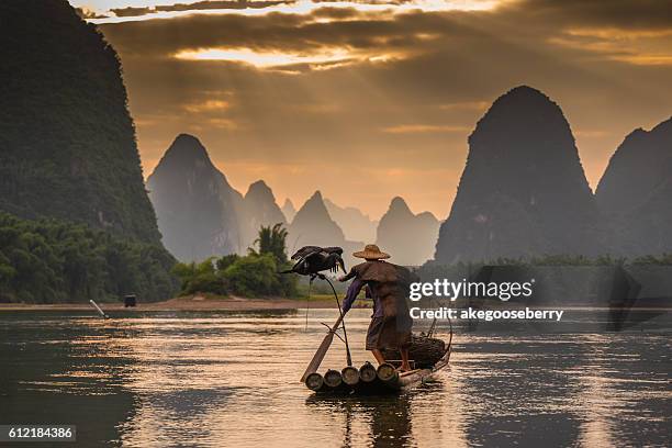 cormorant and fisherman at dawn on the li river, guilin, yangshou, guangxi province, china, asia - river li stock pictures, royalty-free photos & images