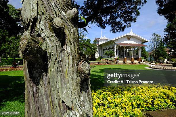 cipanas palace or presidential palace in cipanas. west java. - puncak pass stock pictures, royalty-free photos & images