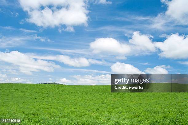 field, hokkaido prefecture, japan - 上川町 ストックフォトと画像