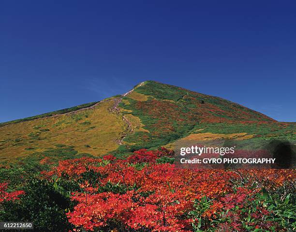 mount kurikoma, miyagi prefecture, japan. - honshu stock pictures, royalty-free photos & images