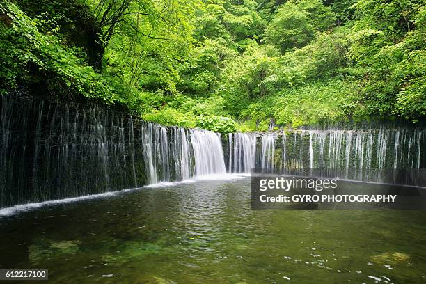 shiraito falls, karuizawa-machi, nagano prefecture, japan - karuizawa stock-fotos und bilder