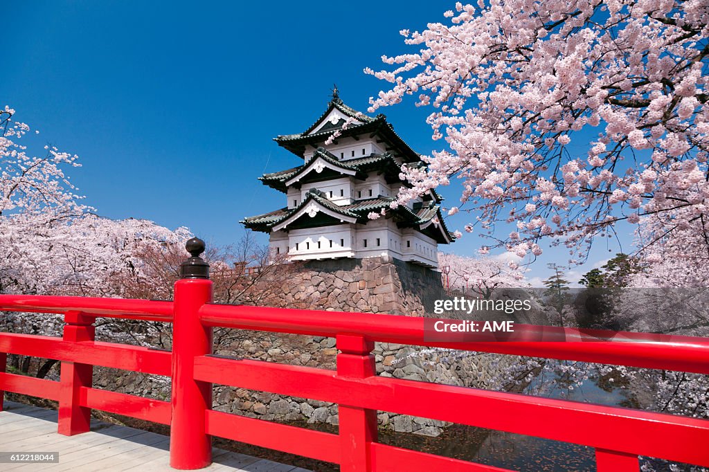 Cherry blossoms at Hirosaki Castle, Aomori Prefecture, Honshu, Japan