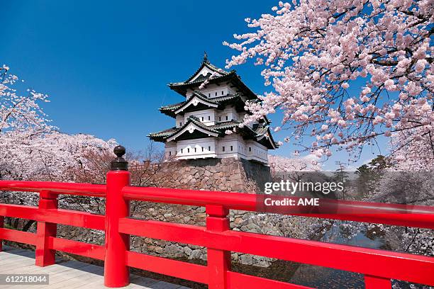 cherry blossoms at hirosaki castle, aomori prefecture, honshu, japan - aomori prefecture stock pictures, royalty-free photos & images